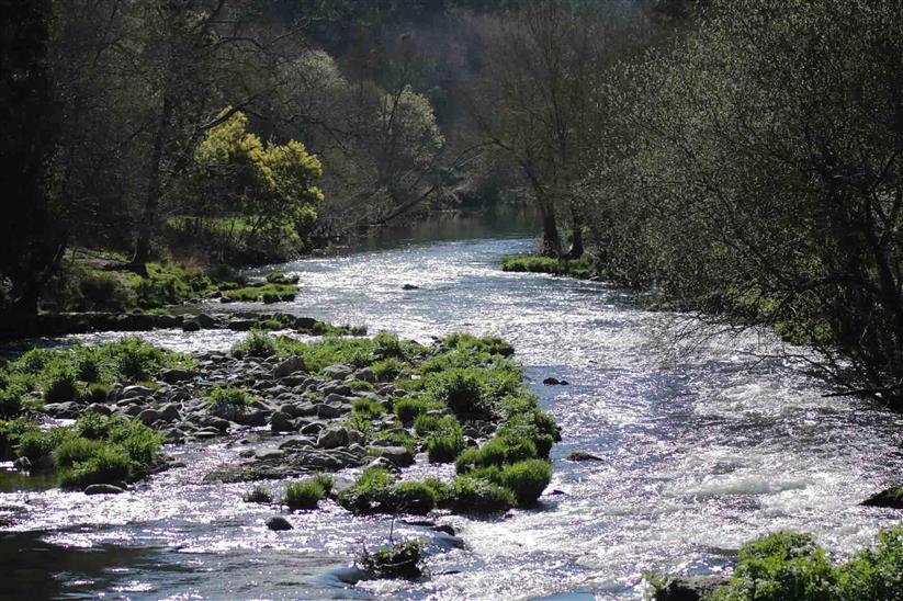 1ª edição do OPJV em Valongo
